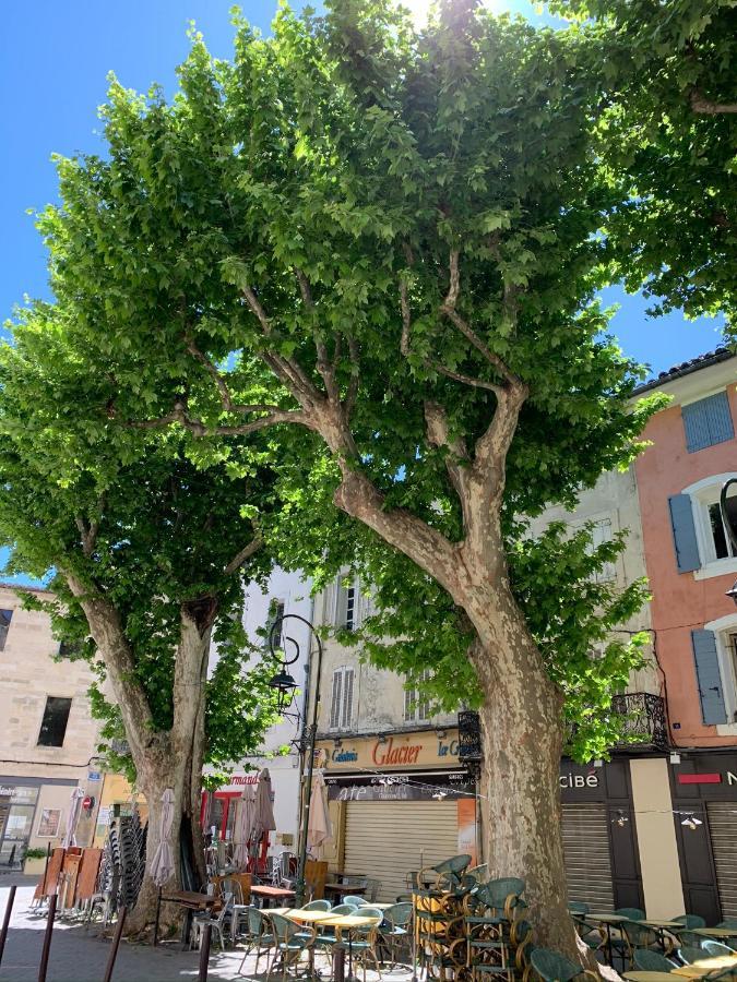 Apartament Fleurs De Provence LʼIsle-sur-la-Sorgue Zewnętrze zdjęcie