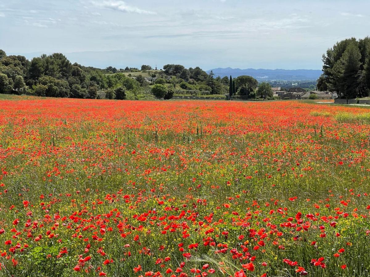 Apartament Fleurs De Provence LʼIsle-sur-la-Sorgue Zewnętrze zdjęcie