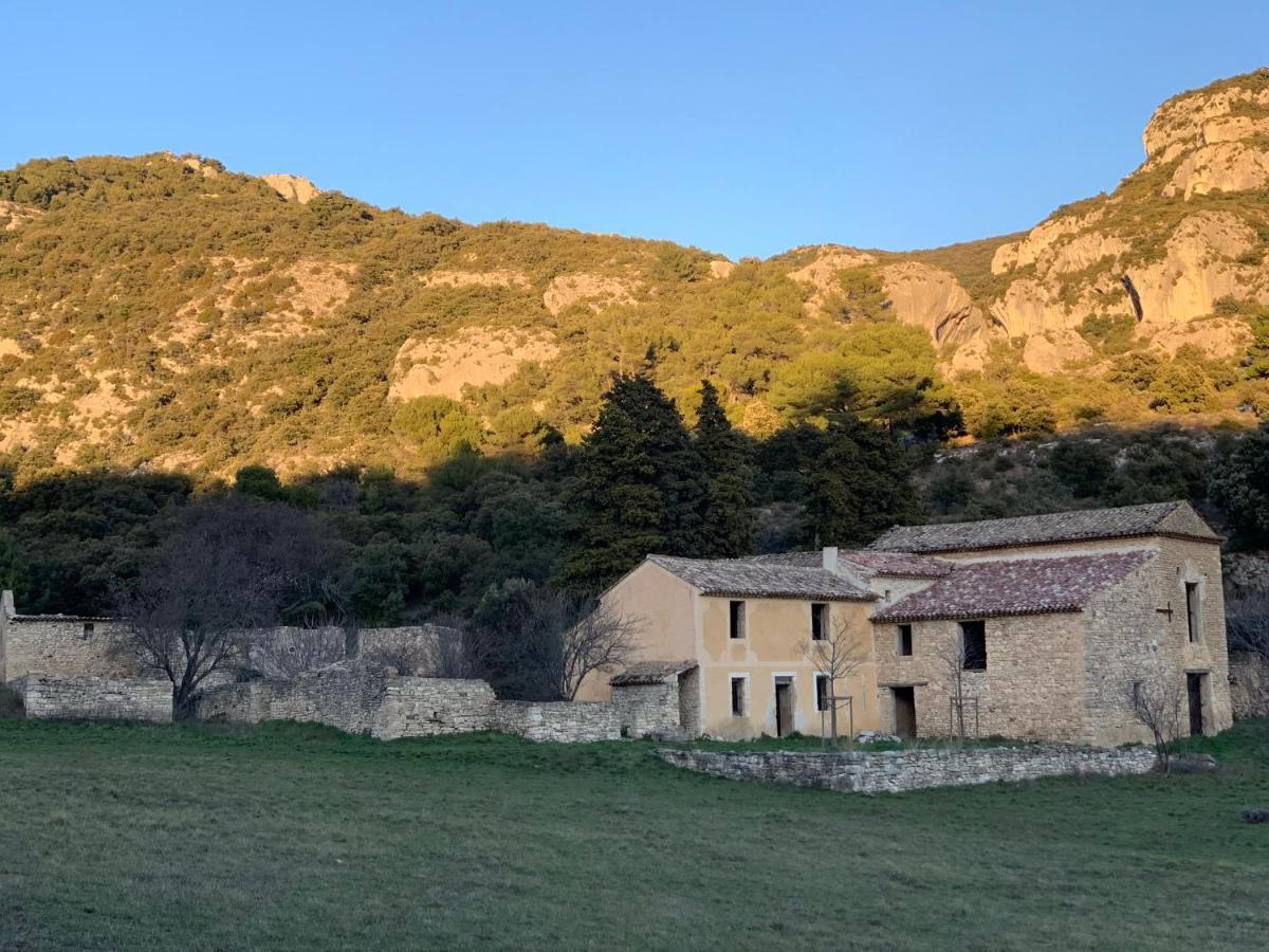 Apartament Fleurs De Provence LʼIsle-sur-la-Sorgue Zewnętrze zdjęcie